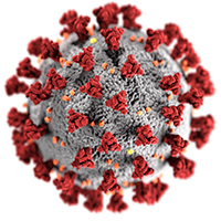 Coronavirus - COVID-19